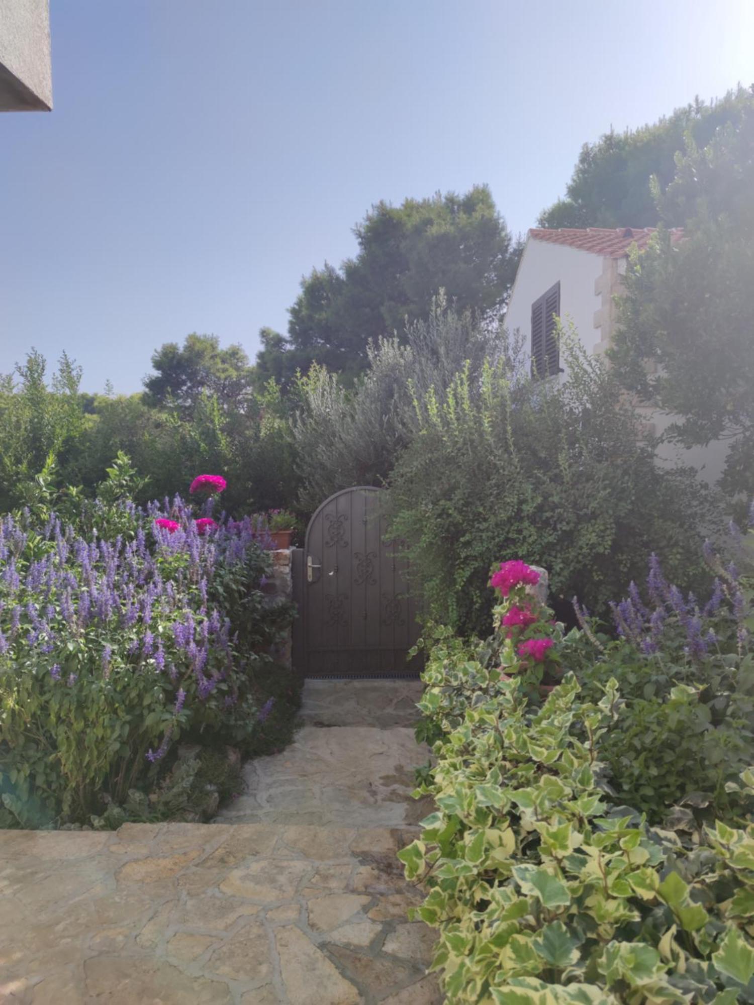 Vacation House Milka Milna  Bagian luar foto